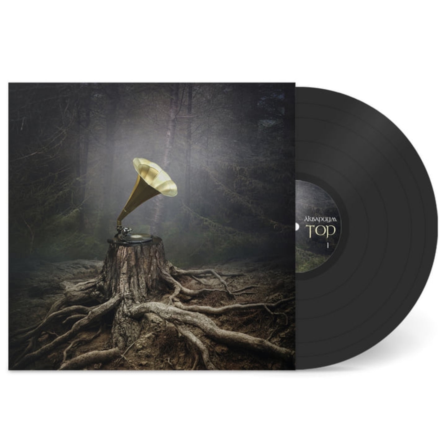 Deluxe 12" Black Vinyl Edition of "Тор" album