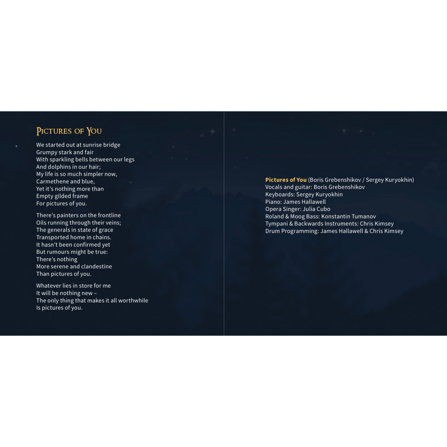"Pictures of You" album Audio CD